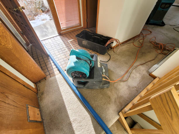 Best Residential water damage restoration  in Bridgeview, IL