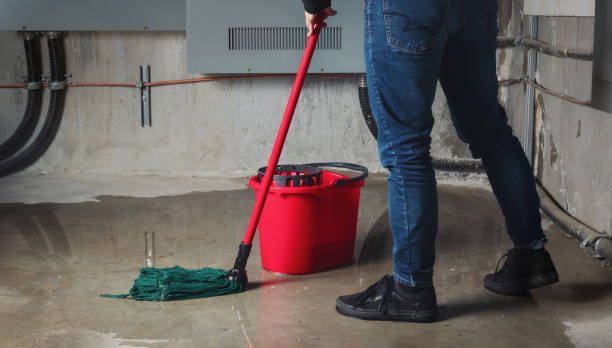 Best Water damage mitigation services  in Bridgeview, IL