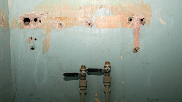 Best Flood damage cleanup  in Bridgeview, IL