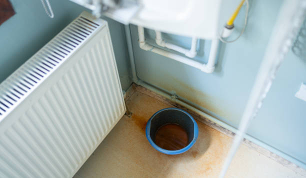  Bridgeview, IL Water damage restoration Pros