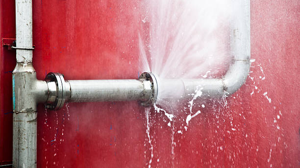Best Water damage cleanup near me  in Bridgeview, IL