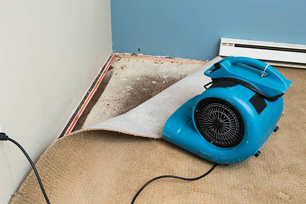 Best Emergency water damage restoration  in Bridgeview, IL